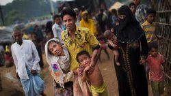 Rohingya Muslims should not be repatriated to Myanmar until credible investigation, Julie Bishop says