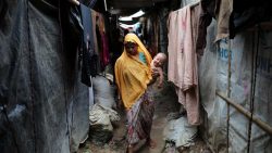 Rohingyas to be repatriated despite UN genocide warning