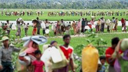 ‘Can’t eat, can’t sleep’: Rohingya on Myanmar repatriation list