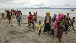 US law firm says Rohingya faced ‘genocide’