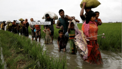 Rohingya atrocities: ICC team arrives Wednesday