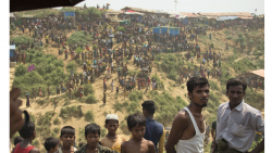 Senate motion urges more action from Liberal government in response to Rohingya crisis