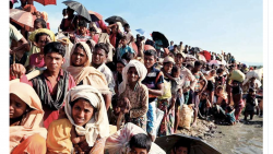 UAE raises Dh65 million for Rohingya refugees