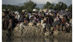 UN finds ‘systemic failures’ in its Rohingya response